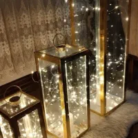 فانس کنار سالنی