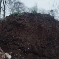 خاک باغچه و گل و گیاه و مناسب برای درخت کاری وباکس|خدمات باغبانی و درختکاری|فومن, |دیوار