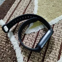 مچ بند شیامی