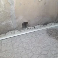 چوب پرده|پرده، رانر، رومیزی|شیروان (لرستان), |دیوار