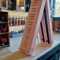 پیانو تاشو BX|پیانو، کیبورد، آکاردئون|رشت, لاکان|دیوار