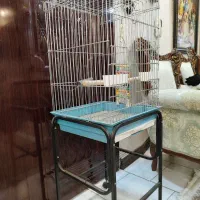 قفس پرنده میله ها محکم در حد نو