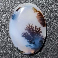 نگین شجر قائن