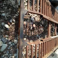 یدک کش ( کفی ) کمباین