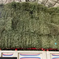 یونجه،کاه گندم،خوراک گوسفندی،اسبی،گاو و کزل