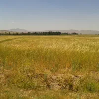زمین جهت سرمایه گذاری معاوضه با ملک مرند.جلفا|فروش دفتر صنعتی، کشاورزی، تجاری|مرند, |دیوار