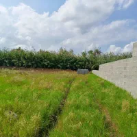 زمین 1450متری مناسب استخر و کلبه سوئیسی|فروش زمین و ملک کلنگی|خمام, |دیوار