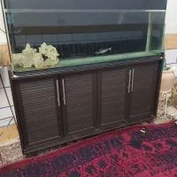 آکواریوم شرکتی ۱/۵