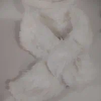 شال و کلاه|لباس|تهران, بریانک|دیوار