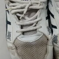 کفش اسپرت|کیف، کفش، کمربند|نیشابور, شهرآرا|دیوار