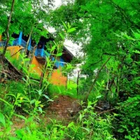 فروش خانه های روستایی جنگلی با تمام امتیازات کامل|فروش خانه و ویلا|اطاقور, |دیوار