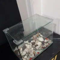 آکواریوم در حد نو|ماهی|بندرعباس, |دیوار