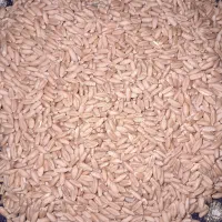فروش