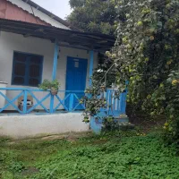 مجموعه اقامتگاه در حلیمه جان با کلیه امکانات