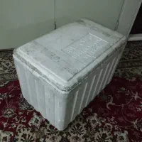 یخدان یونولیتی بزرگ و سالم / مناسب حمل ماهی و سفر