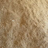 گندم پیشگام|عمده‌فروشی|چناران, |دیوار