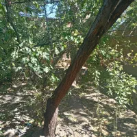 خانه باغ قدیمی نصراباد بعداز تفت واسلامیه|فروش خانه و ویلا|تفت, |دیوار