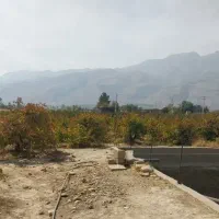 زمین با کاربری گلخانه ، اسطبل ، سردخانه ، باغ شهری|فروش دفتر صنعتی، کشاورزی، تجاری|شیراز, ظفرآباد|دیوار