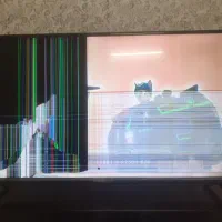 ال ای دی|تلویزیون و پروژکتور|ابهر, |دیوار