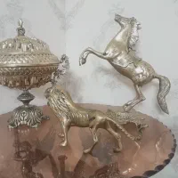 اسب ،شیر واجیل خوری تمام برنج