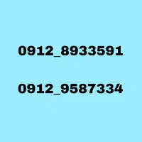 09129587334