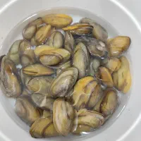 صدف زنده و بسیار زیبا ماهی|ماهی|کرمانشاه, |دیوار