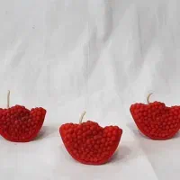 شمعهای کدو انار مخصوص شب یلدا|صنایع دستی و سایر لوازم تزئینی|اردبیل, |دیوار