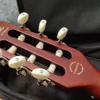 گودین godin multiac acs slim|گیتار، بیس، امپلیفایر|تهران, امانیه|دیوار