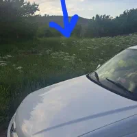 فروش یک قطعه باغ متراز۲۵۰۰متر مربع