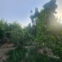 350مترباغچه-سندعرصه-و-اعیان-انشعابات-کامل