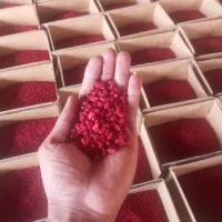 زرشک پفکی درجه یک