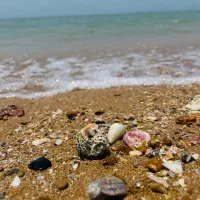 تور ویژه ۴ روزه جزیره قشم|تور و چارتر|قشم, |دیوار