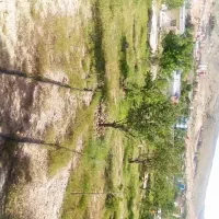 باغ شهری شهید پرویزی. ۱۰ دقیقه تا شیراز|فروش خانه و ویلا|شیراز, مجتمع شهید پرویزی|دیوار