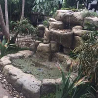 آبشار مصنوعی ،آبنما|خدمات پیشه و مهارت|تهران, دکتر هوشیار|دیوار