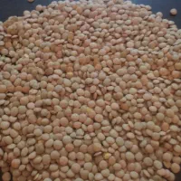 حبوبات درجه یک|خوردنی و آشامیدنی|تهران, ابوذر|دیوار