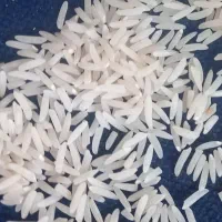 برنج سالم  فجرسوزنی به شرط پخت