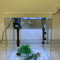 اکواریوم شرکتی سفید