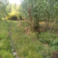 زمین-متراژ-22-000-روستایی-نبش-جاده-آسفالت