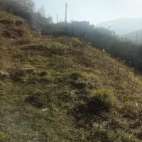 زمین ییلاقی با ویو ابدی|فروش زمین و ملک کلنگی|امامزاده عبدالله, |دیوار