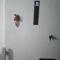 یخچال و فیریزر