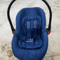 کریر نوزاد دلیجان