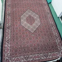 فرش|فرش|زنجان, |دیوار