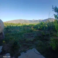 فروش-باغ