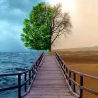 رهایی از اعتیاد و پاکسازی تضمینی