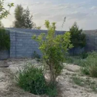فروش-فوری-زمین-چهاردیواری-در-ابارش