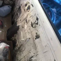 تویوتا دوهزار مدل ۸۴|خودرو سواری و وانت|بم پشت, |دیوار