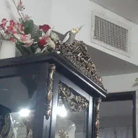 عروس هلندی سخنگو