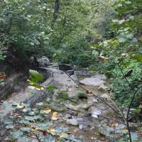 راهنمایی شغل