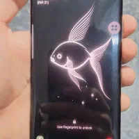 درحد نو بدون خط و خش