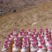فروش فوری فوری عسل بهاره کوه